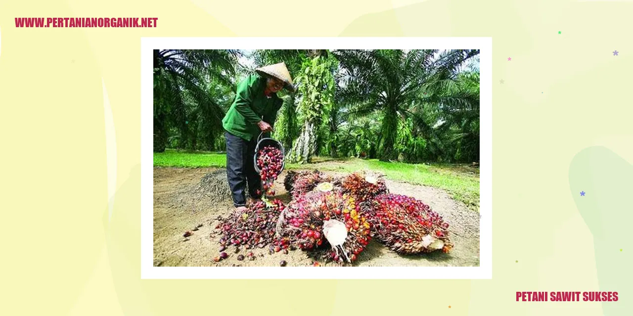 Petani Sawit Sukses - Menyiapkan Lahan yang Tepat