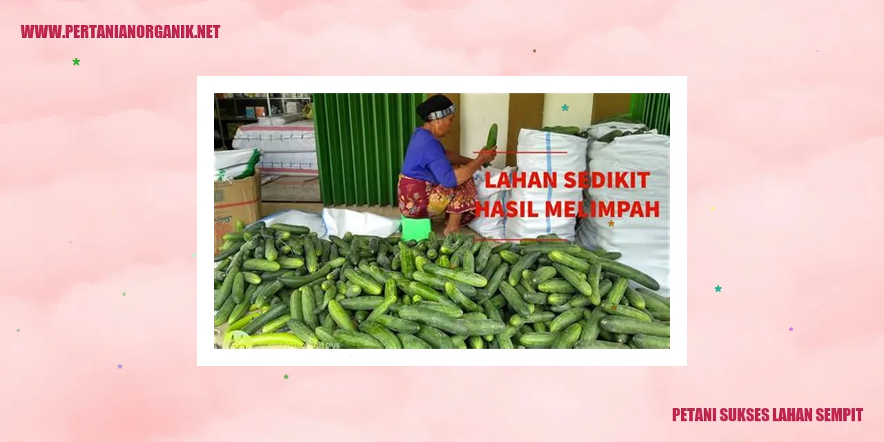 Petani Sukses Lahan Sempit