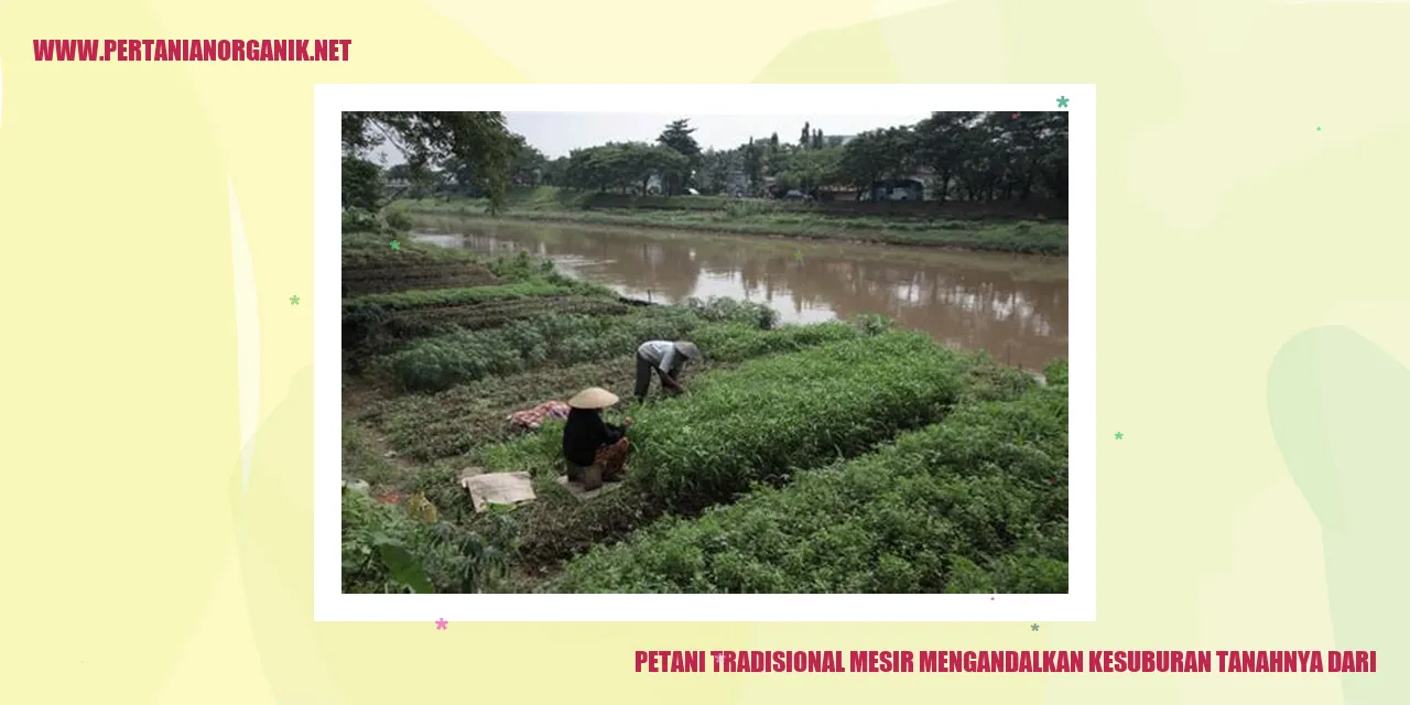 petani tradisional mesir mengandalkan kesuburan tanahnya dari