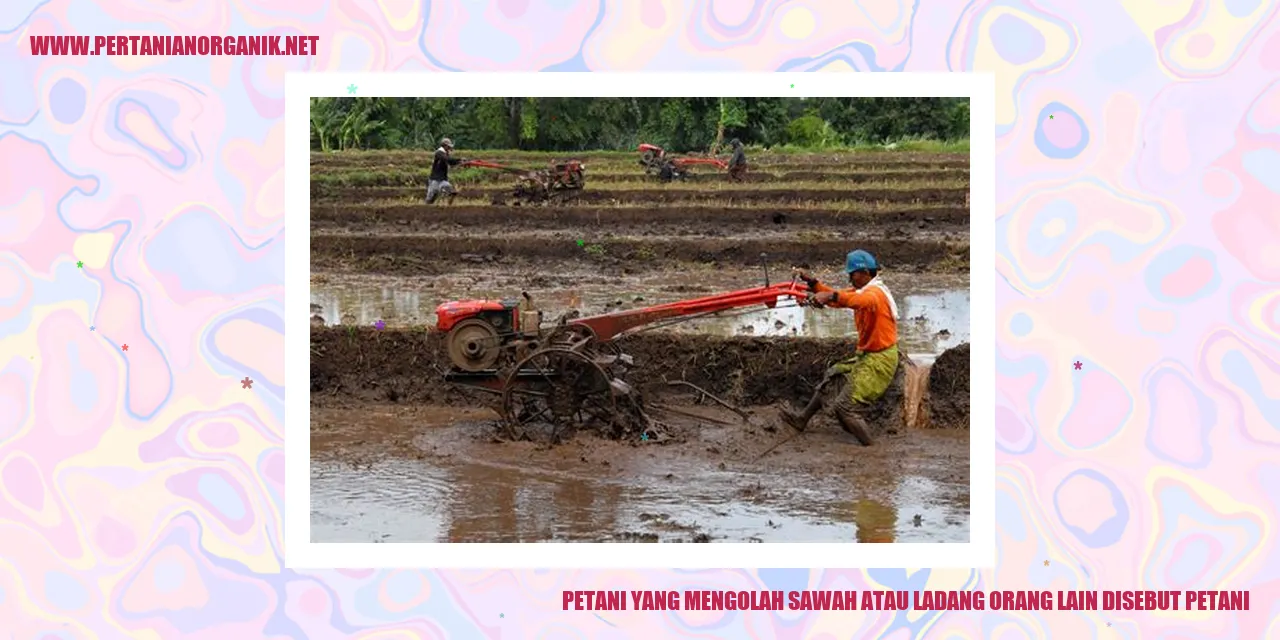 Petani yang Mengolah Sawah atau Ladang Orang Lain Disebut Petani