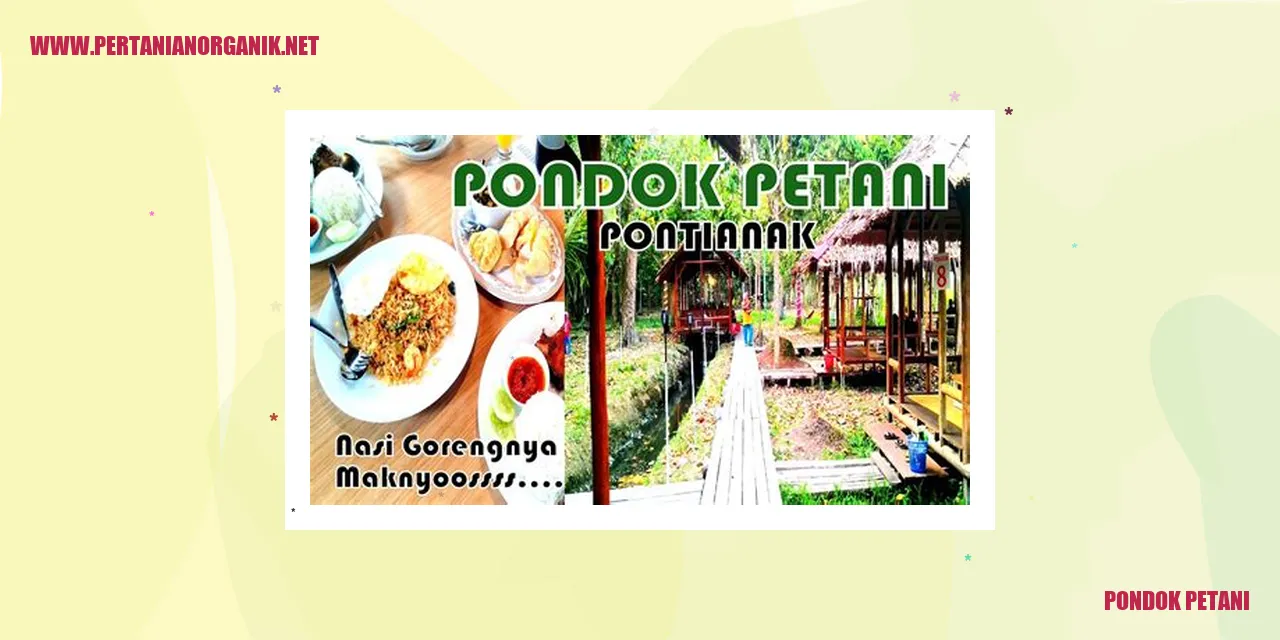 Contoh Pondok Petani