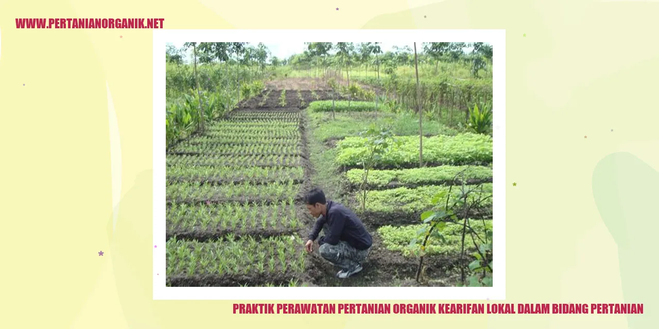 Praktik Perawatan Pertanian Organik kearifan lokal dalam bidang pertanian