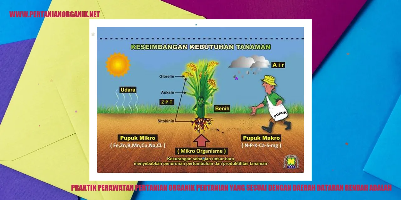 Ilustrasi Pertanian Organik