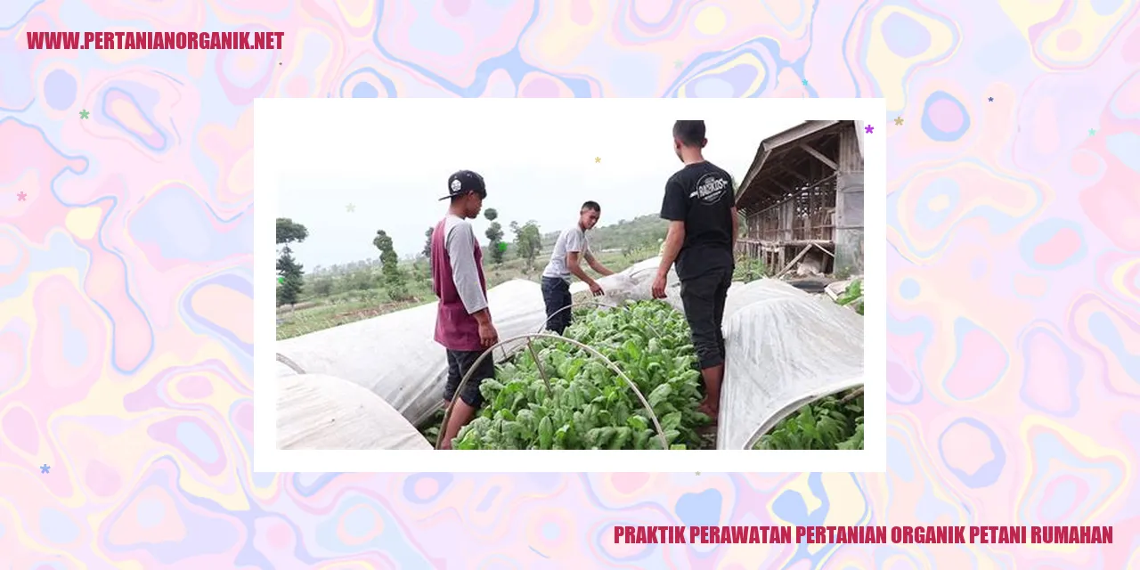 Praktik Perawatan Pertanian Organik petani rumahan