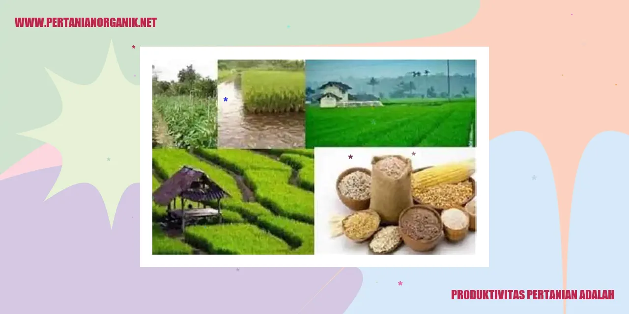 produktivitas pertanian adalah