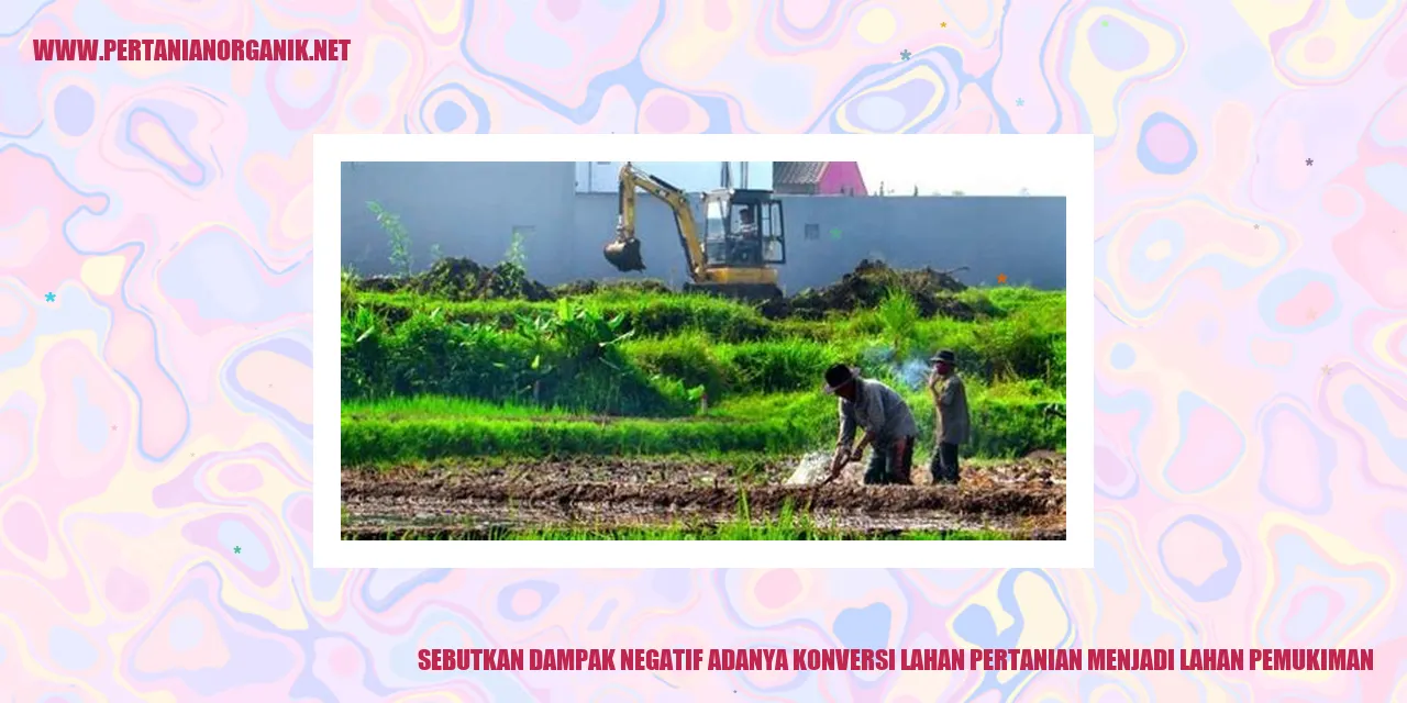 Gambar Lahan Pertanian