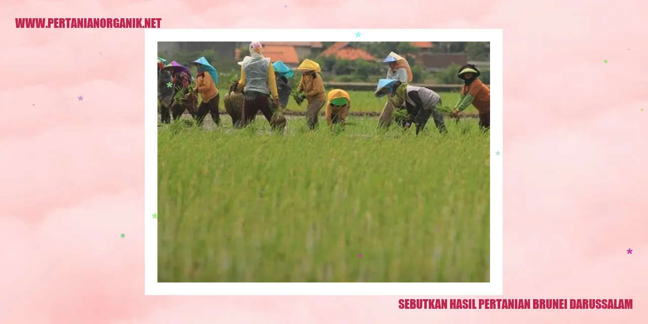 sebutkan hasil pertanian brunei darussalam