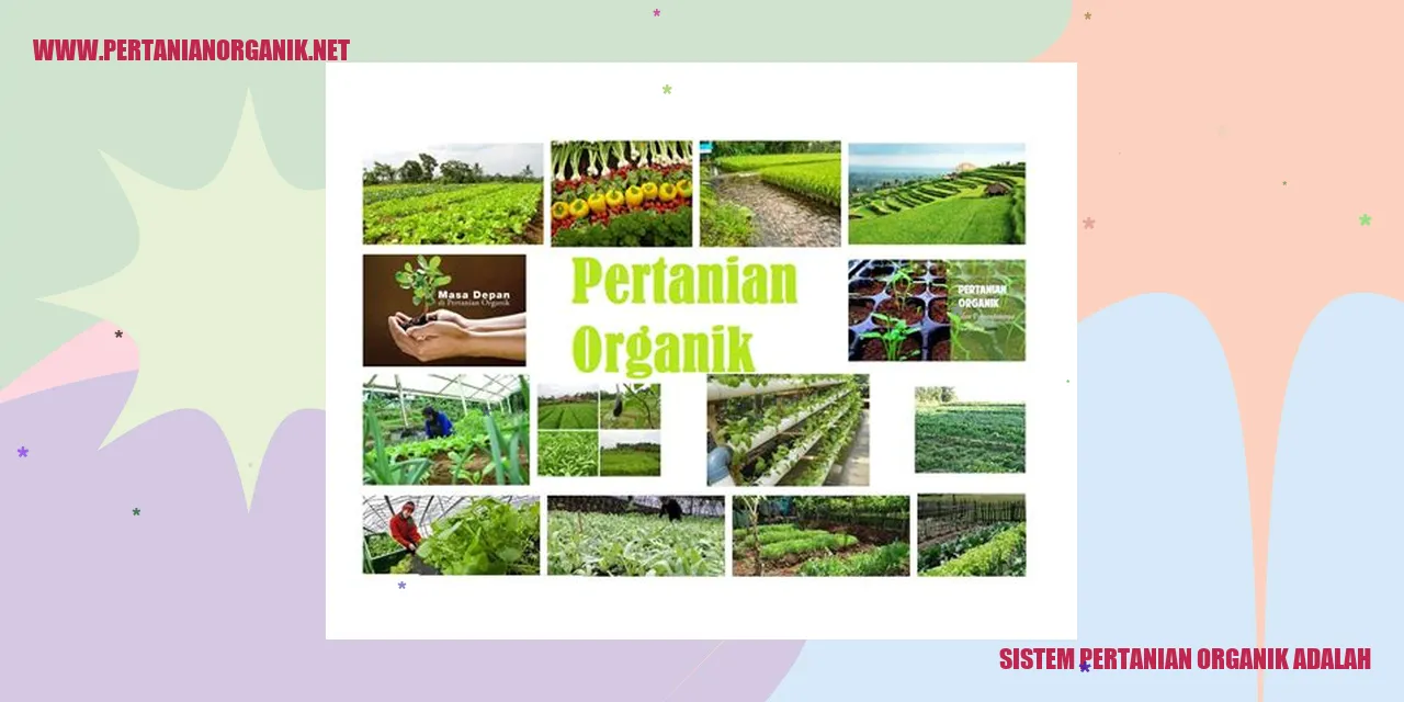 Sistem Pertanian Organik