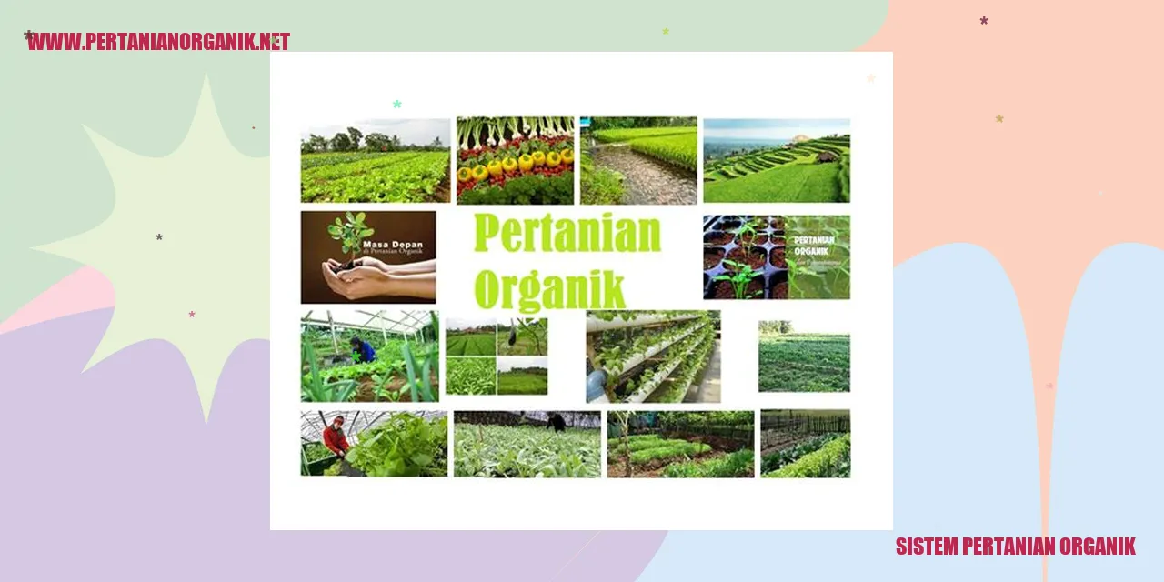 Sistem Pertanian Organik