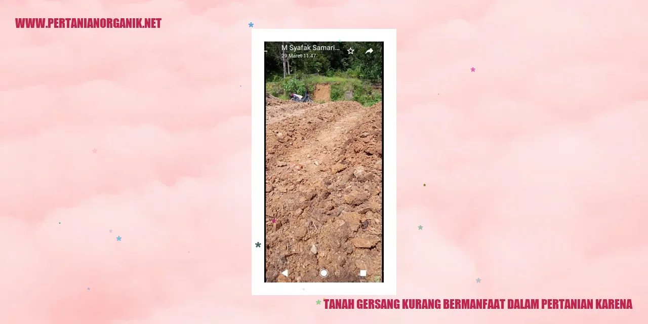 Tanah Gersang