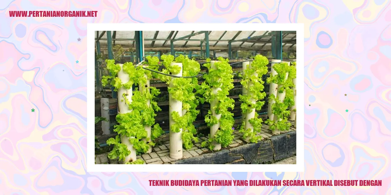 Teknik Budidaya Pertanian Vertikal