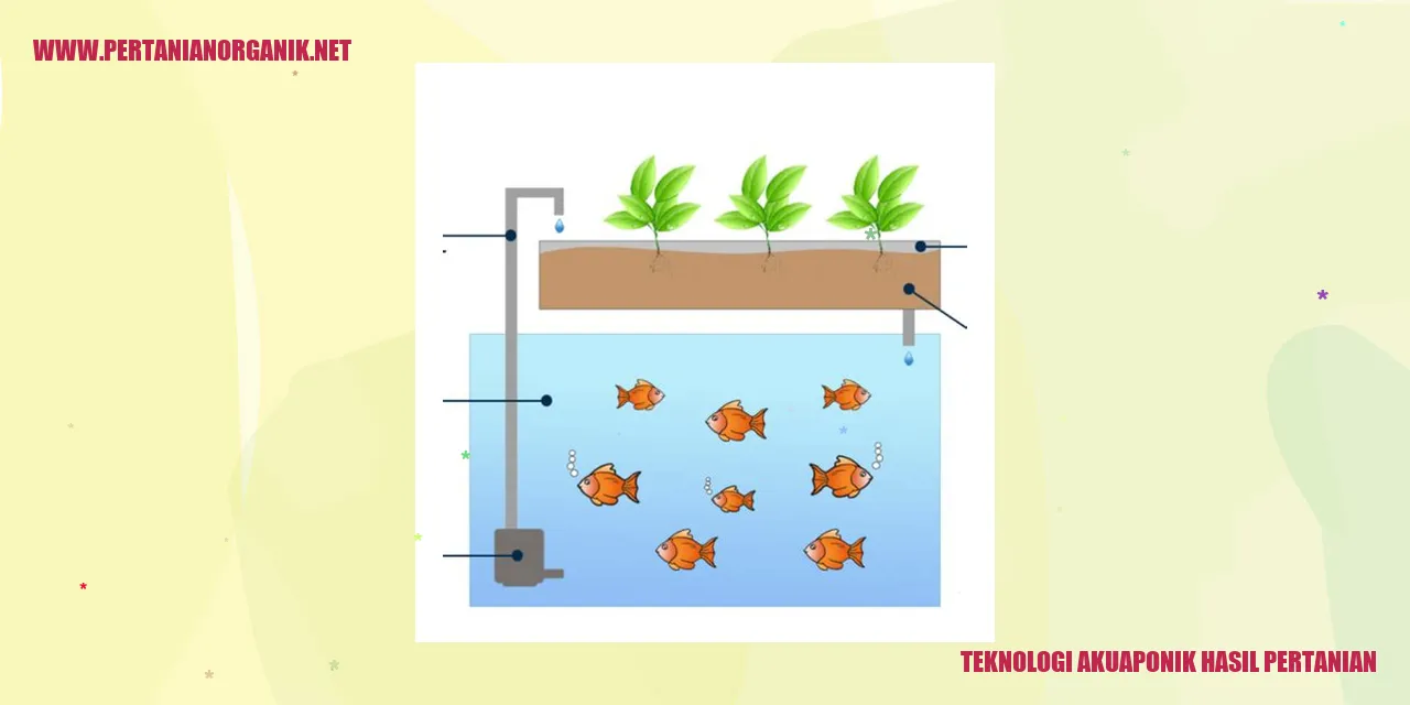 Teknologi Akuaponik untuk Produksi Pangan yang Berkelanjutan