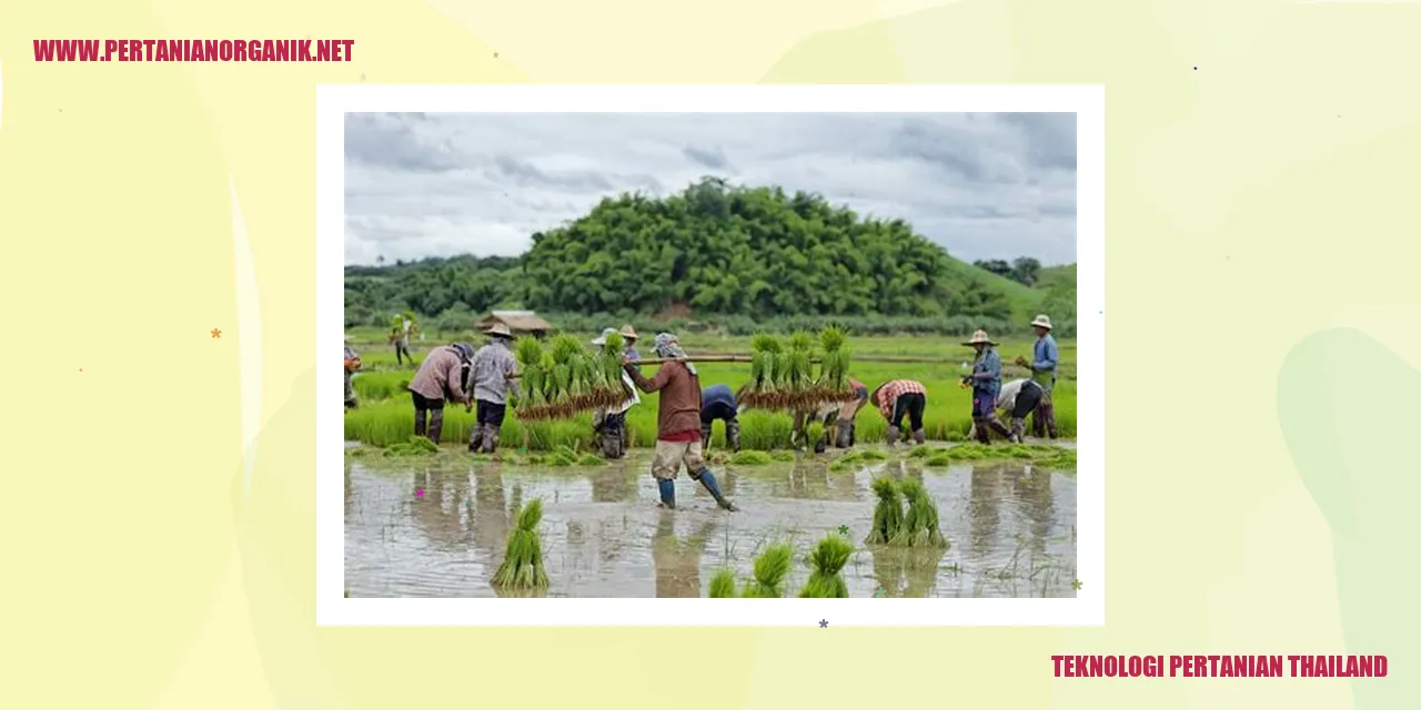 Teknologi Pertanian Thailand