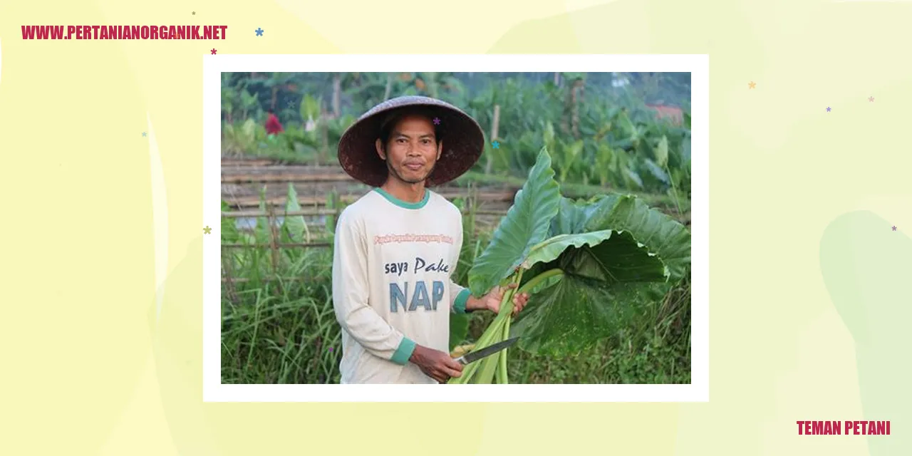 teman petani