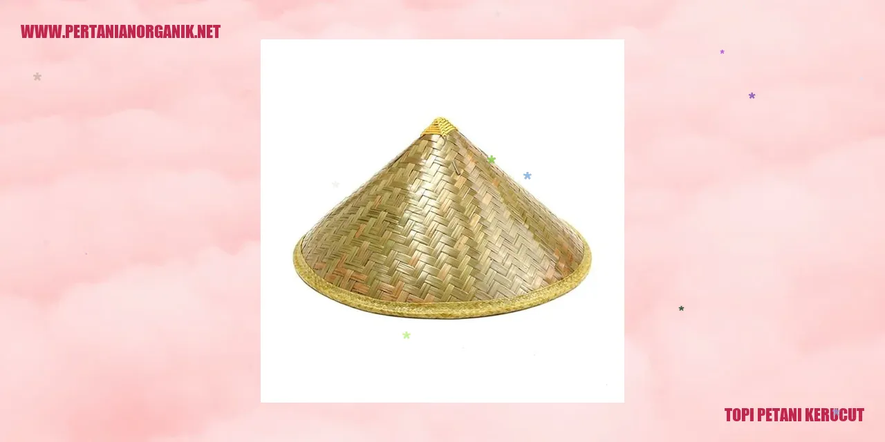 topi petani kerucut