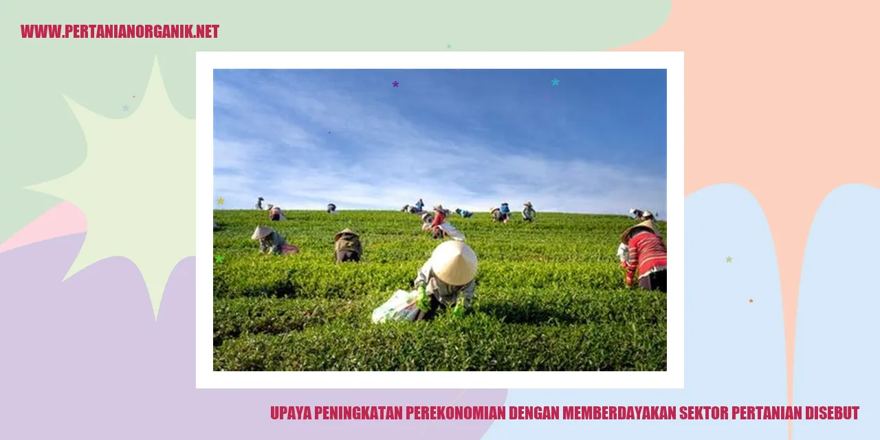 Upaya Peningkatan Perekonomian dengan Memberdayakan Sektor Pertanian Disebut