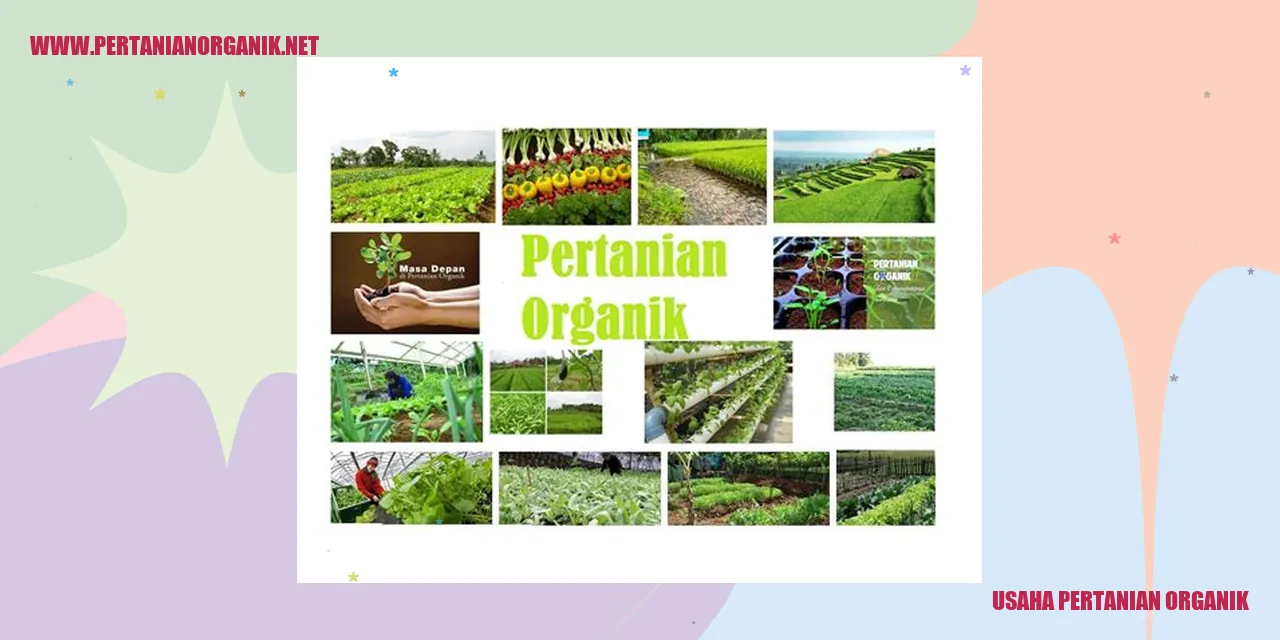 Gambar Pertanian Organik